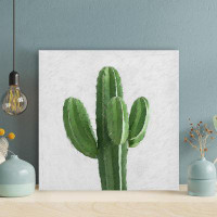Foundry Select Cactus Plant - 1 Piece Square Graphic Art Print On Wrapped Canvas
