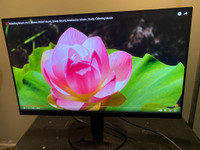 Used  24 Acer SA240Y LED Monitorwith HDMI1080 for Sale, Can deliver