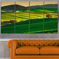 Design Art 'Trees and Farmland near Volterra' Photograph Multi-Piece Image on Canvas