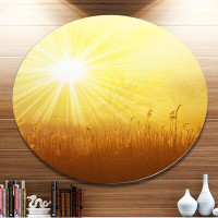 Made in Canada - Design Art 'Amazing Sunrise over Meadow' Photographic Print on Metal
