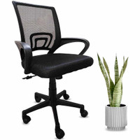 MotionGrey Mesh Series - Executive Ergonomic Computer Desk Home Office Chair with Mesh Back - Black
