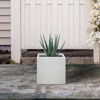 Ebern Designs 10" W Square Lightweight Pure White Concrete Metal Planter w/ Drainage Hole