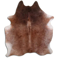 Foundry Select NATURAL HAIR ON Cowhide RUG BROWN 3 - 5 M GRADE B