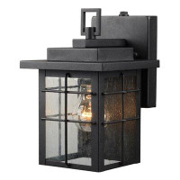 Williston Forge Hugh 1-Light Outdoor Wall Lantern