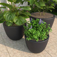 Latitude Run® Ertugrul 3 - Piece MGO Clay Pot Planter Set