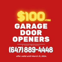 Garage door opener installation SAME DAY $100