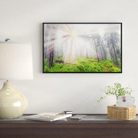 Made in Canada - East Urban Home Landscape 'Misty Sunrise in Forest' Framed Photographic Print on Wrapped Canvas