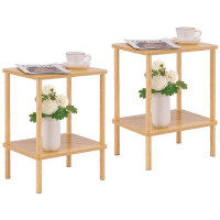 Latitude Run® Simple 2-Tier Coffee Table Side Table (Set Of 2)