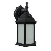 Efficient Lighting 1-Light Outdoor Wall Lantern