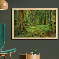 East Urban Home Ambesonne Tree Wall Art With Frame, Idyllic Rainforest In Canadian Island Ferns Moss On Plant Nature Eco