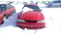Parting out WRECKING: 1997 Ford Mustang