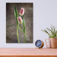 Latitude Run® Latitude Run® ''Spring Tulips VI'' By Debra Van Swearingen, Acrylic Glass Wall Art,