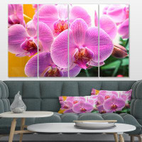 Made in Canada - Design Art 'Beautiful Purple Orchid Flowers' 4 Piece Photographic Print on Metal Set