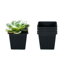 Ebern Designs 5'' Square Garden Plastic Plant Pots with Drainage, Black (Set of 5)