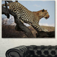 Made in Canada - Design Art 'Leopard Walking on Tree' Photographic Print on Wrapped Canvas