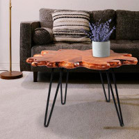 Union Rustic Hottenrott 4 Pieces Live Edge Wood Coffee Table