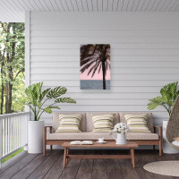 Trademark Fine Art Pictufy Studio III Palm 10 Outdoor  Canvas