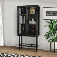 Latitude Run® Double Glass Door Storage Cabinet