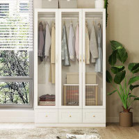 Latitude Run® Elegent Wardrobe With Tempered Glass Door