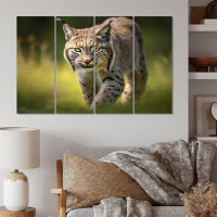 Ebern Designs Portrait Of Brown Lynx In The Wild II - Plants & Flowers Canvas Art Print - 4 Panels