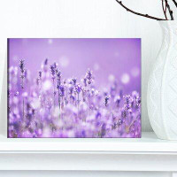 Design Art Stunning Purple Lavender Field - Wrapped Canvas Photograph Print