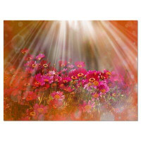 Made in Canada - Design Art Sunrays over Little Red Flowers - Wrapped Canvas Photograph Print