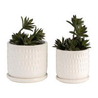 Joss & Main Ceramic Planter – Dimpled Design, 5" Planter, 6" Planter, For Indoor and Outdoor Plants, Succulent Planter S