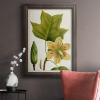 August Grove Antique Flowering Trees IV Antique Flowering Trees IV - Picture Frame Print on Canvas