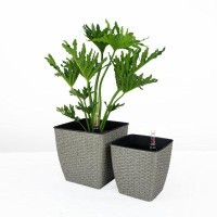 Ebern Designs 2-Pack Self-Watering Planter - Hand Woven Wicker - Thin Square