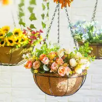Primrue Metal Hanging Baskets For Plants