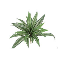 Admired by Nature 15" Artificial Dracaena Plant