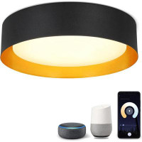 Wrought Studio Janulia 15in LED Flush Mount, Modern Dimmable APP Remote Control