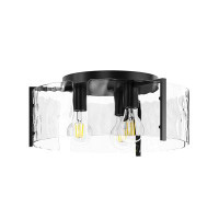 Breakwater Bay Henefer 2-Light Glass Black Dimmable Flush Mount Light Fixtures