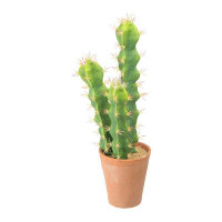 Primrue Faux Cactus In Terracotta Coloured Pot