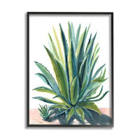 Stupell Industries Aloe Plant Botanical Leaves Giclee Art By Cherish Flieder