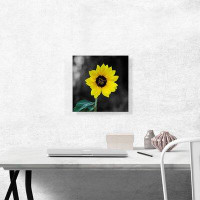 ARTCANVAS ARTCANVAS Bee On Yellow Sunflower Plant Canvas Art Print