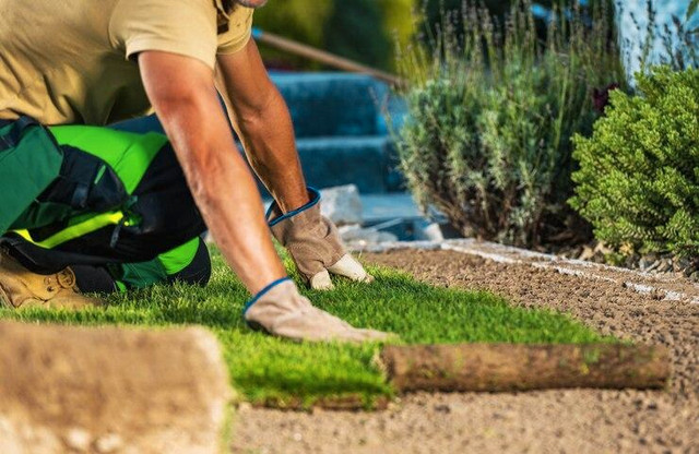 SOD, NEW GRASS SPECIAL STARTING @ $1.50 PER SQUARE FOOT SOD SALE LAWN CARE NEW LAWN WEED REMOVAL FREE ESTIMATES in Patio & Garden Furniture in Markham / York Region