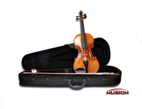 4/4 Full size Adult violin Fiddle Brand new with case and bow
