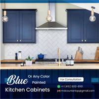 Blue & More Color Kitchen Cabinets at Low Price