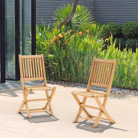 Lark Manor Folding Chair - Teak Wood