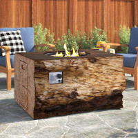 Union Rustic Lailyn 40" H x 34.5" Large Propane Gas Fire Pit Table for Outside Patio