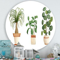 East Urban Home Trio Of House Plants Ponytail Palm And Ficus - Traditional Metal Circle Wall Art