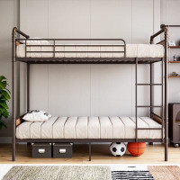 Williston Forge Bunk Bed Frame