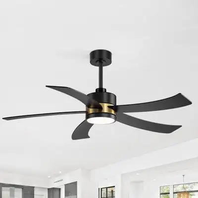 Mercer41 Frodine 52'' Ceiling Fan with LED Lights
