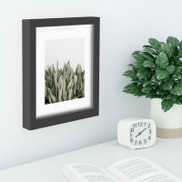 Latitude Run® Latitude Run® Moonshine Snake Plant By Romana Lilic Recessed Framed Art Print Black Frame, 8" X 10"