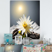Millwood Pines Blossoming Edelweiss Flower Under Sun I - Other Plants & Flowers Canvas Print