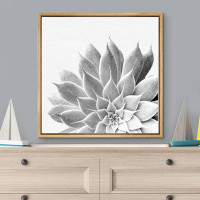 wall26 " Retro Film Grain Echeveria Succulent Floral Plants Photography Modern Art Closeup Black And White " on