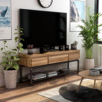 Trent Austin Design Macdougal TV Stand for TVs up to 65"