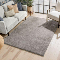 Well Woven Well Woven Rainbow Chroma Glam Solid Two-Tone  Soft Shimmer Pile Light Grey Shag Area Rug