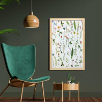 East Urban Home Ambesonne Watercolor Flower Wall Art With Frame, Different Kinds Of Flowers Herbs Plants And Earth Eleme